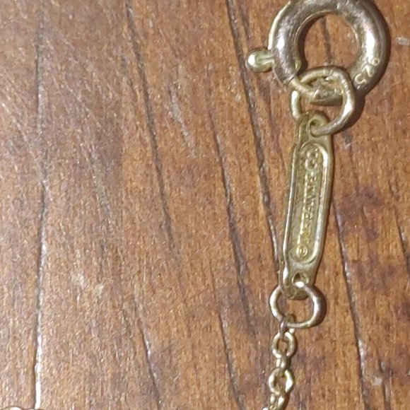 Authentic Tiffany 16" Sterling Silver Logo Charm Necklace - Picture 4 of 4